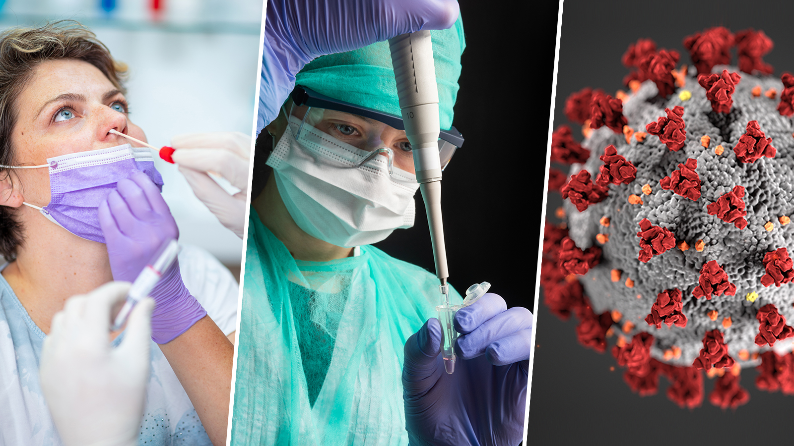 German CDC Documents Show Politics Drove COVID Response, Not Science