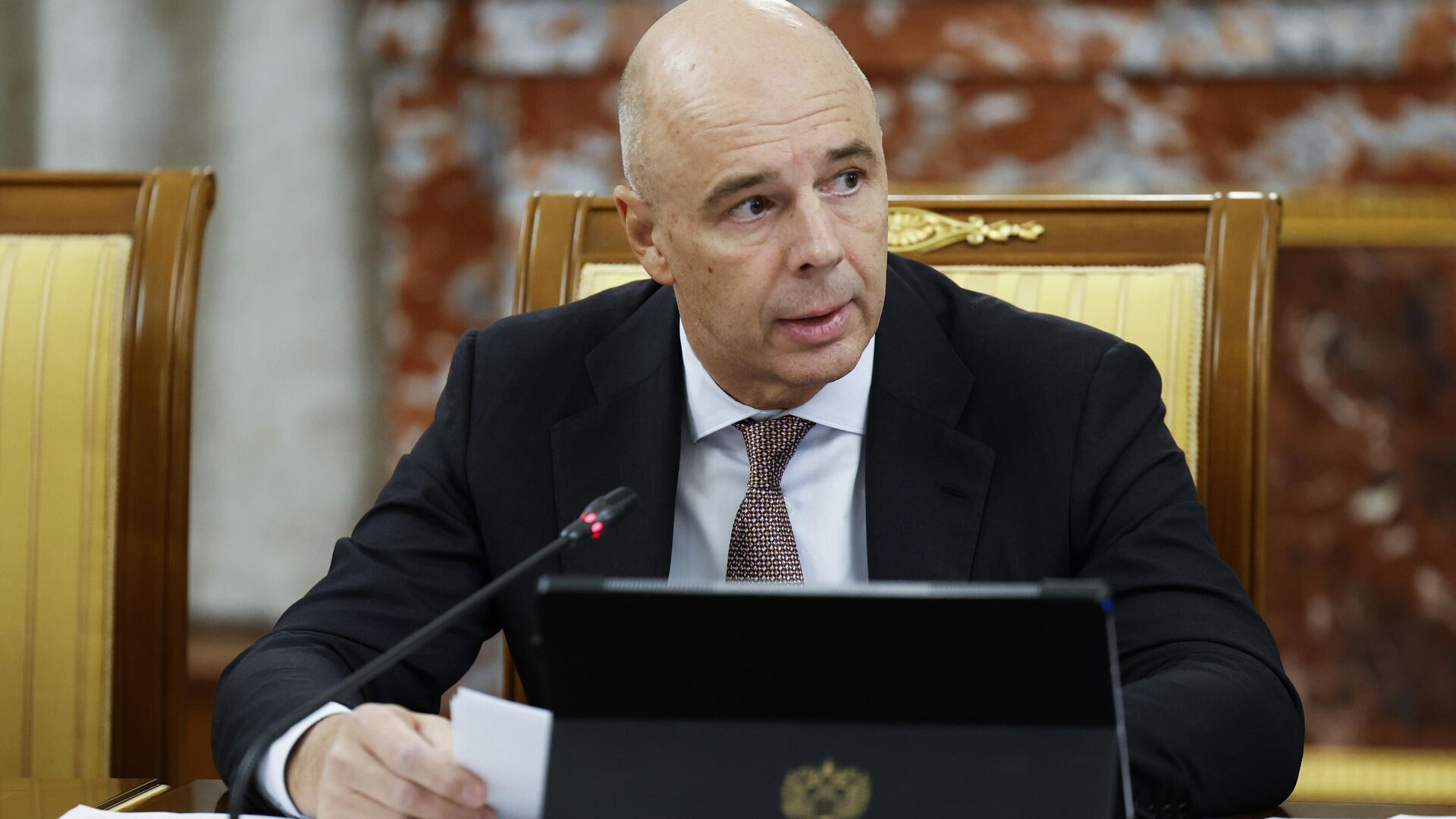 Each New BRICS Member Contributes Significantly — Russian Finance Minister