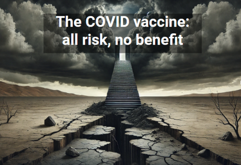 The COVID Vaccine: All Risk, No Benefit