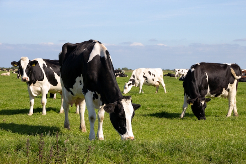 Inflation: Your Role as a Milk Cow – Part 1