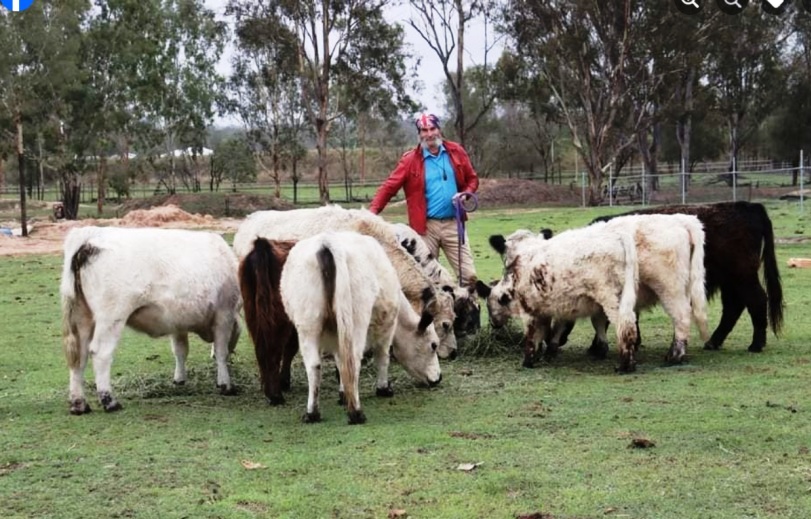 Fire Ant Spreaders Caught Red-handed in Lockyer Valley: Labor Censors Video