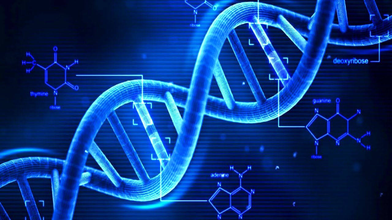BREAKING: The Most Comprehensive Bill Template to BAN DNA/RNA Injections Has Arrived – Legislators Must Act NOW!