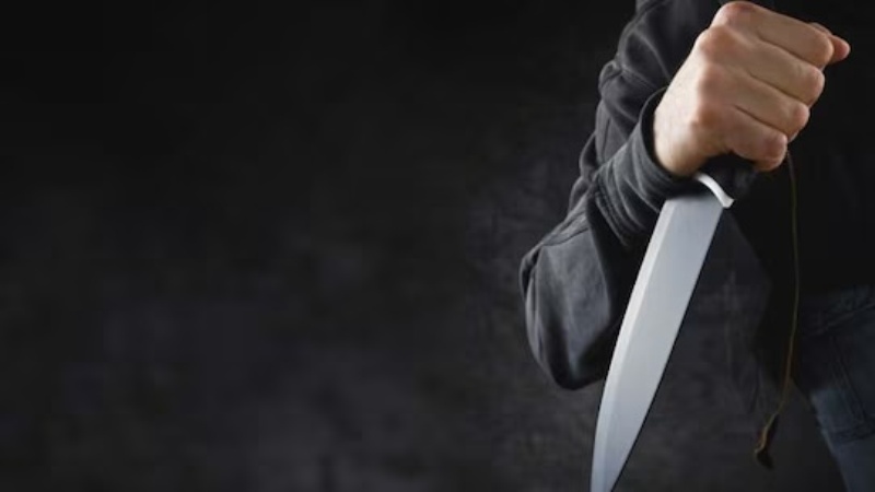 Russian Police Apprehend a Migrant Wielding a Knife on a Busy Moscow Highway