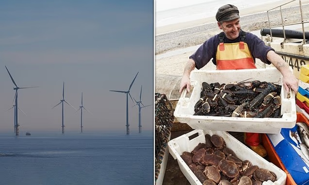 Offshore Wind Farms ‘Destroying Britain’s Fishing Grounds’ as Trawler Captains See Crab and Lobster Catches Plummet